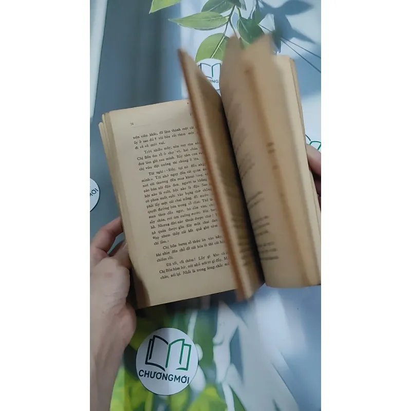 [MIỄN PHÍ BỌC SÁCH] [XƯA] Phấn Thông Vàng (1968) - Xuân Diệu 776042