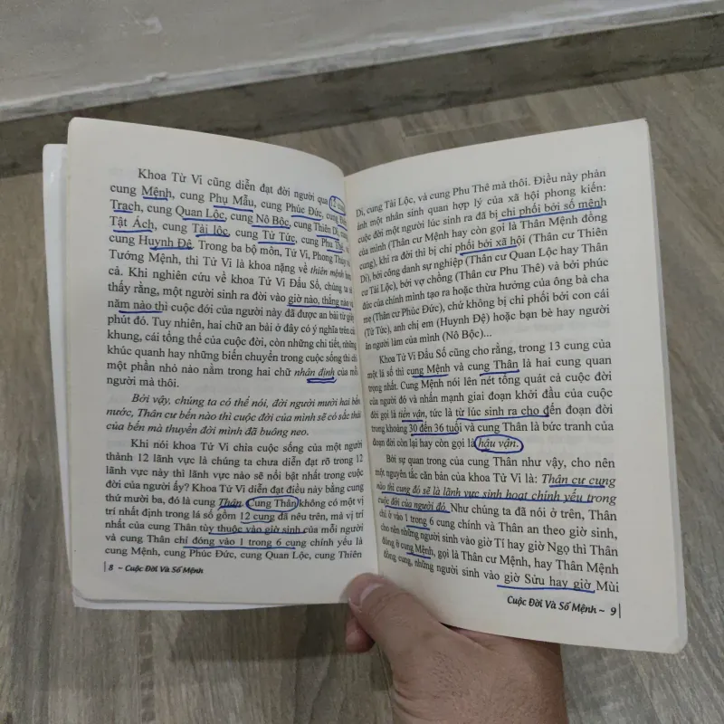 Cuộc Đời & Số Mệnh - Nguyễn Phúc Vĩnh Tung 754552