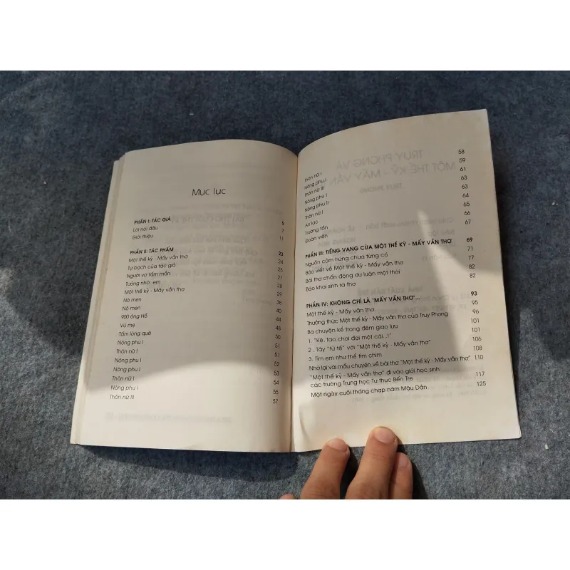 TRUY PHONG VÀ MỘT THẾ KỶ MẤY VẦN THƠ 719926