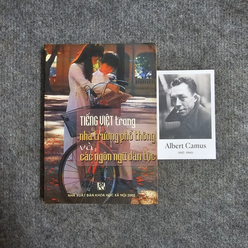 Tiếng việt trong nhà trường phổ thông và các ngôn ngữ dân tộc 974654