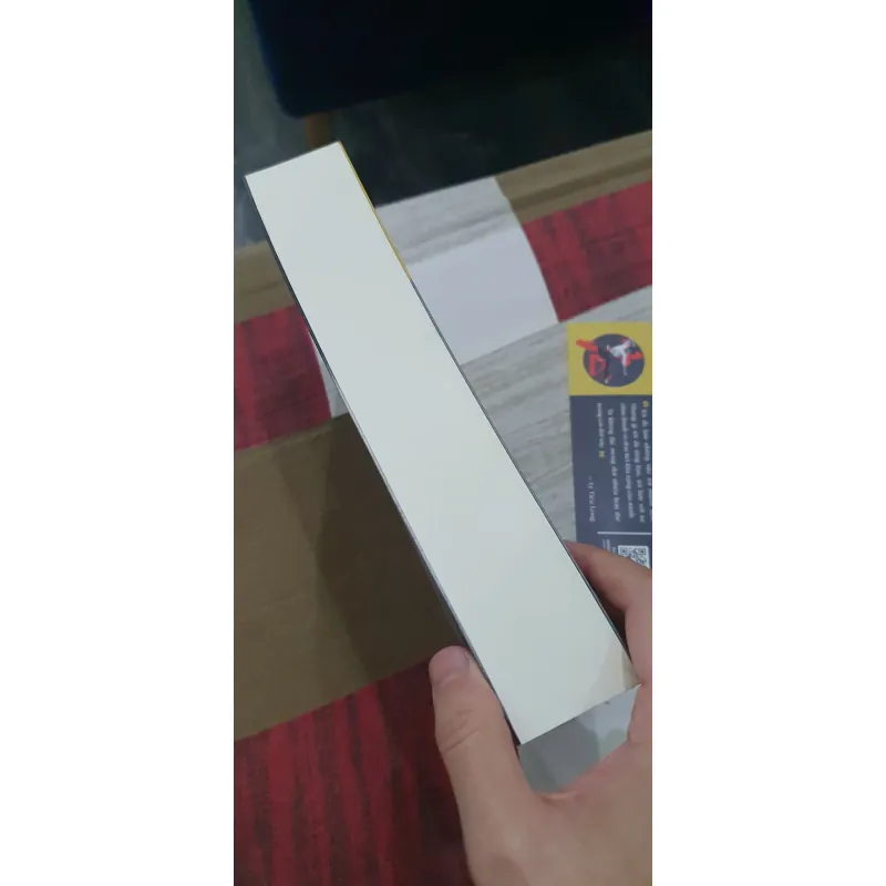 Lý Tiểu Long - Một Cuộc Đời Phi Thường - Matthew Polly, Mới 90% (TrieuL) 714345