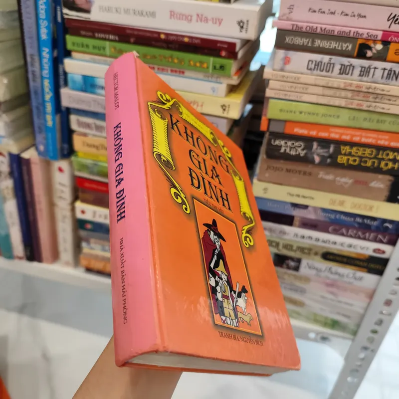 Không gia đình - Tiểu thuyết  563541