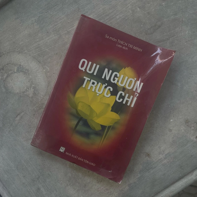 Quy nguơn trực chỉ 380181