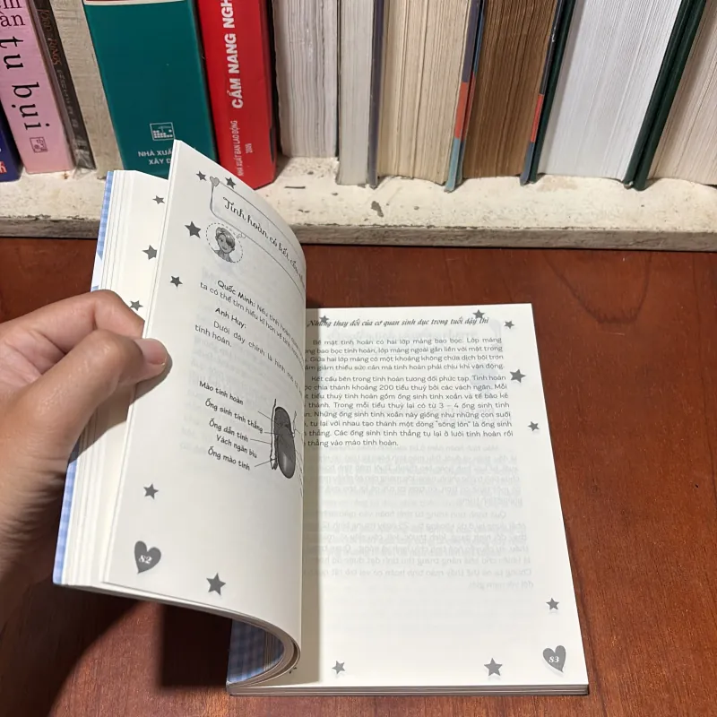 II Giới Tính: Cẩm Nang Tuổi Dậy Thì Dành Cho Bạn Trai - Hà Minh - 2024 745911