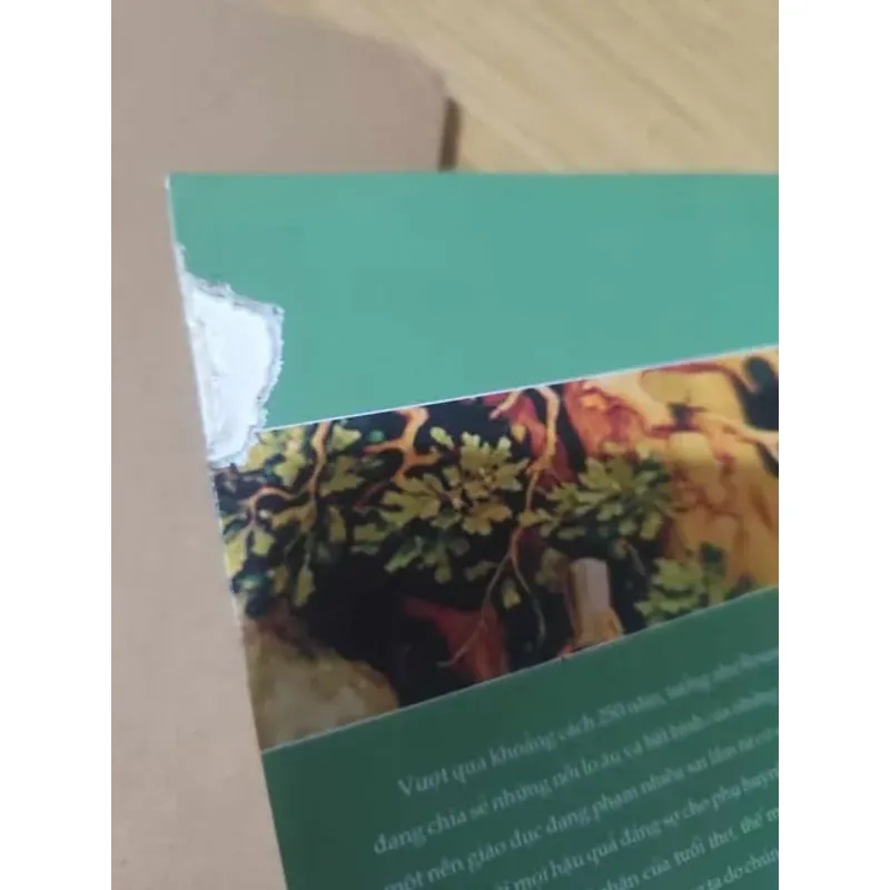 Emile Hay Là Về Giáo Dục - Jean Jacques Rousseau, mới 60% (CHS) 559559