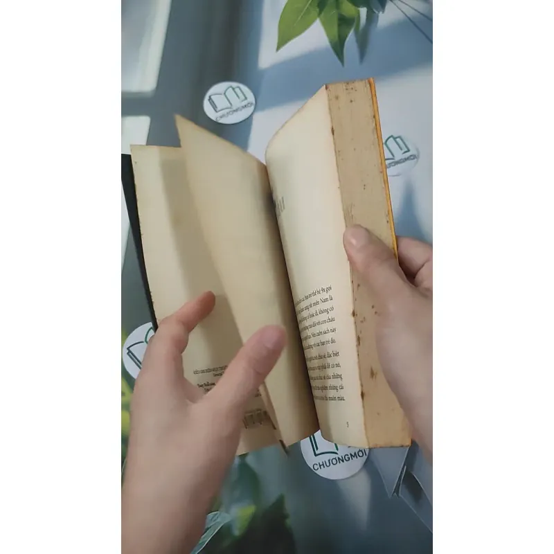 Trên Đường Băng - Tony Buổi Sáng 961234