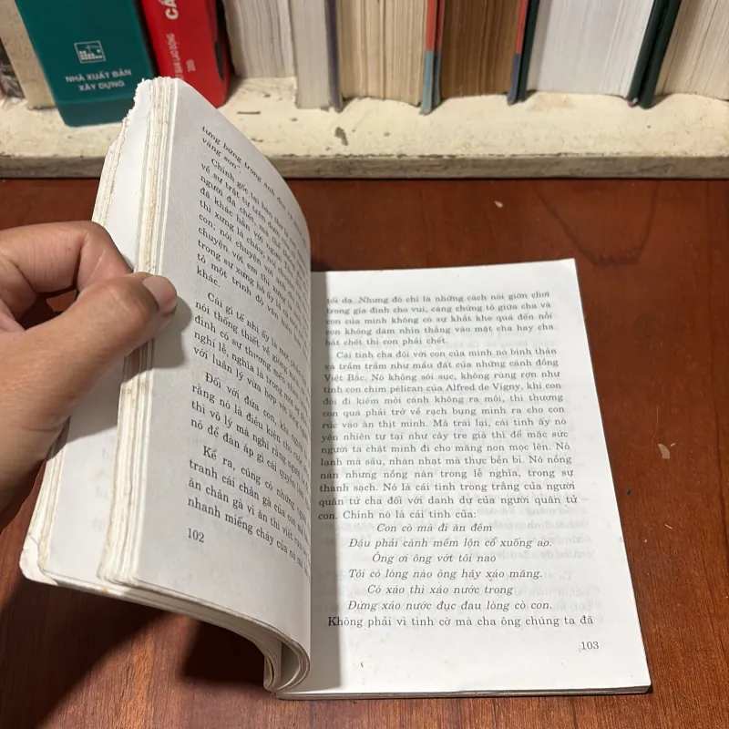 II Văn Hoá Việt Nam: Nếp Sống Tình Cảm Người Việt (Sách Tham Khảo) - 2003 752236