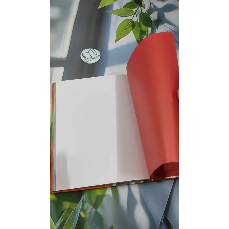 [MIỄN PHÍ BỌC SÁCH] Reach: Language, Literacy, Content - Level 1 990374