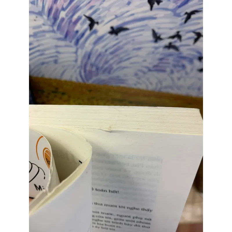 Toán Học Một Thiên Tiểu Thuyết - Mickael Launay 926325