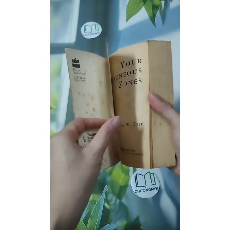[MIỄN PHÍ BỌC SÁCH] [XƯA] Your Erroneous Zones (1993) - Wayne W. Dyer 1027604