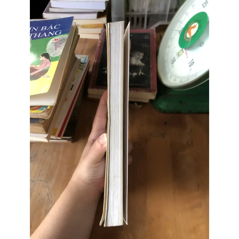 Chăm sóc tạo dáng bonsai toàn tập 973617