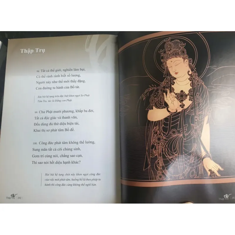 Kinh Hoa Nghiêm Phẩm Thập Trụ - Chính Văn và Lược Giải - Thầy Hằng Trường mới 90% 698198
