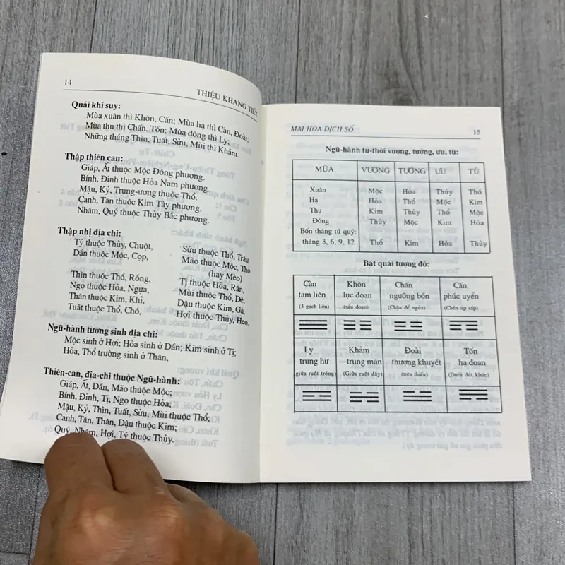 Mai hoa dịch số. 3a2 718547