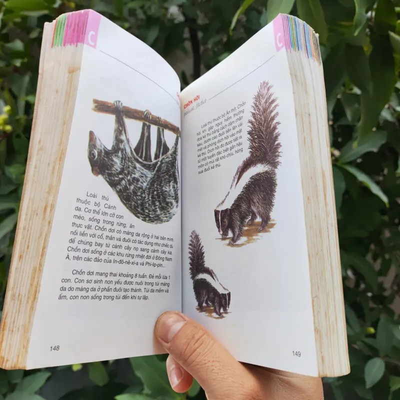 Từ Điển Tranh Về Các Con Vật - Lê Quang Long 753786