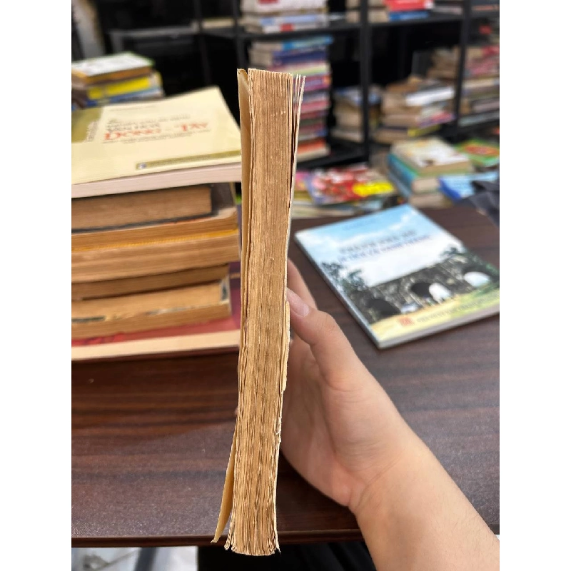 Tăng trưởng kinh tế ở Châu Á gió mùa - Harry T. Oshima 936731