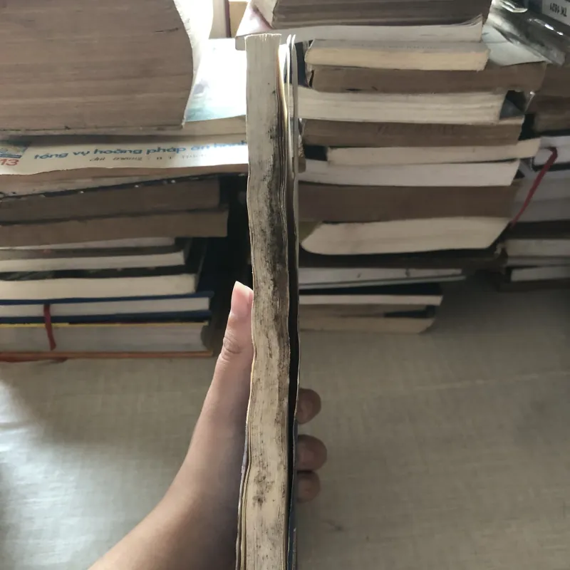 Đức cha Đôminico Ngãi-Giám mục Sài Gòn đầu tiên 976033