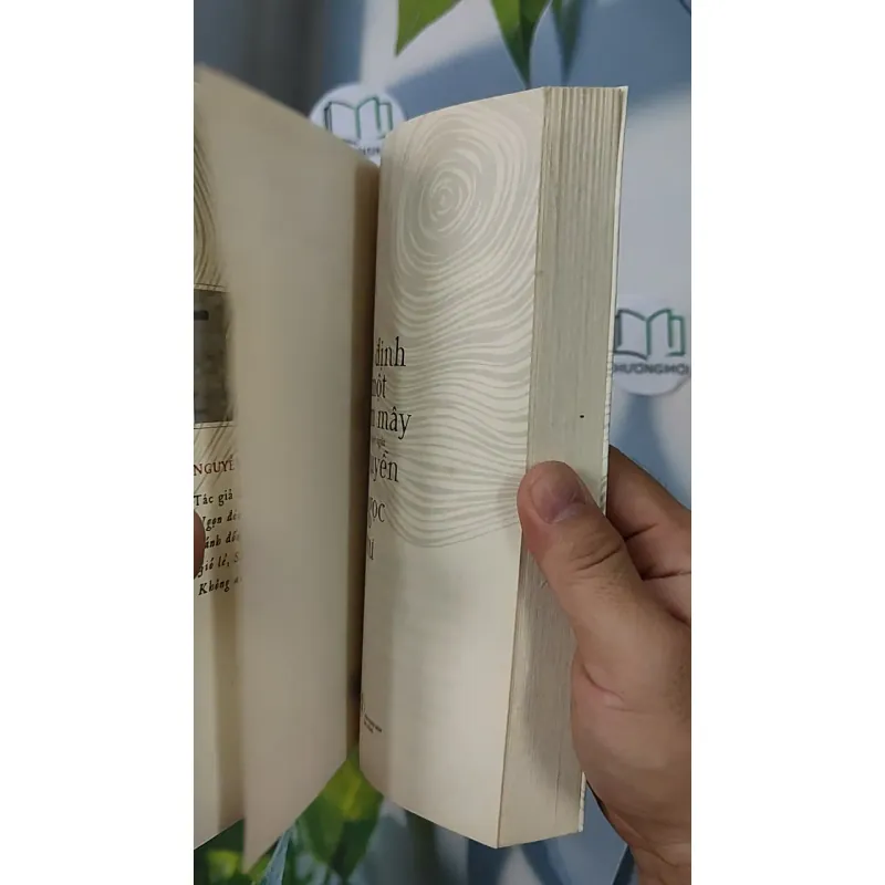 Cố Định Một Đám Mây - Nguyễn Ngọc Tư 798342