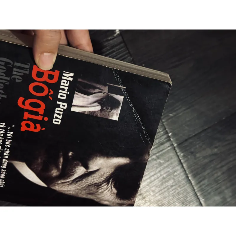 Bố già (Đặng Phi Bằng dịch)  798034