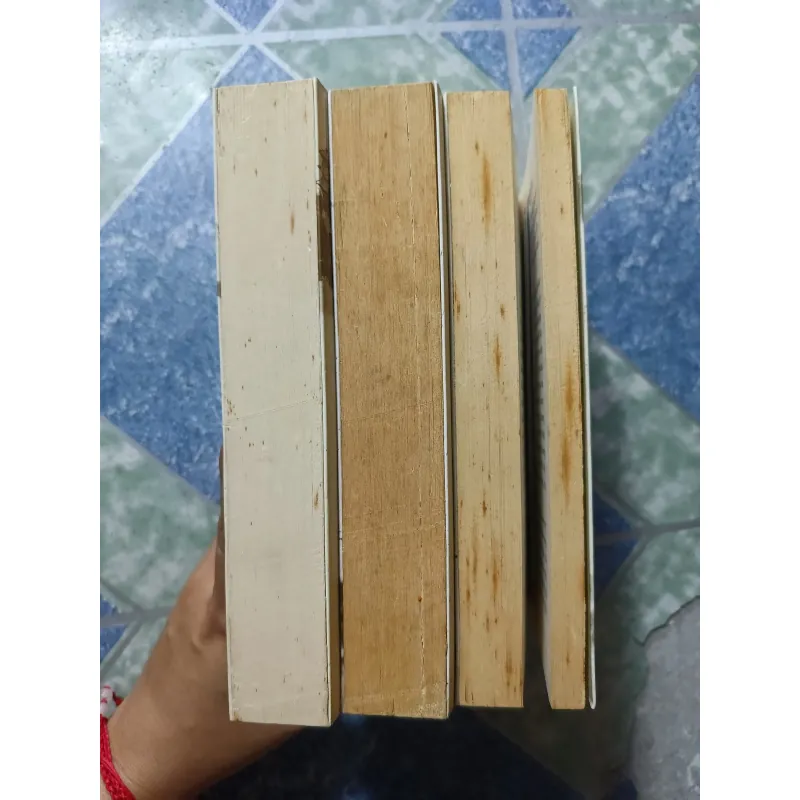 Bạch Lạc Mai ( 3 quyển) 1001208