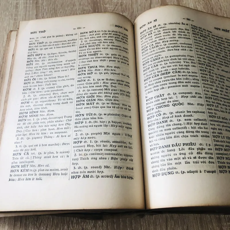 VIỆT NAM TÂN TỰ ĐIỂN 1965 995193