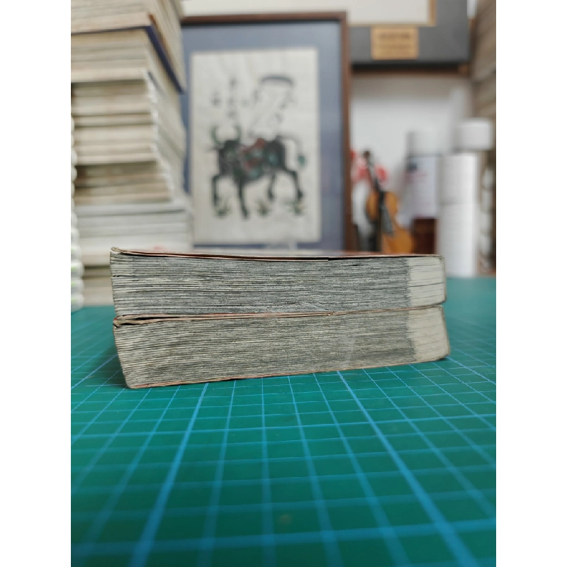Truyện tranh thám tử lừng danh conan tuyển tập đặc biệt 492584