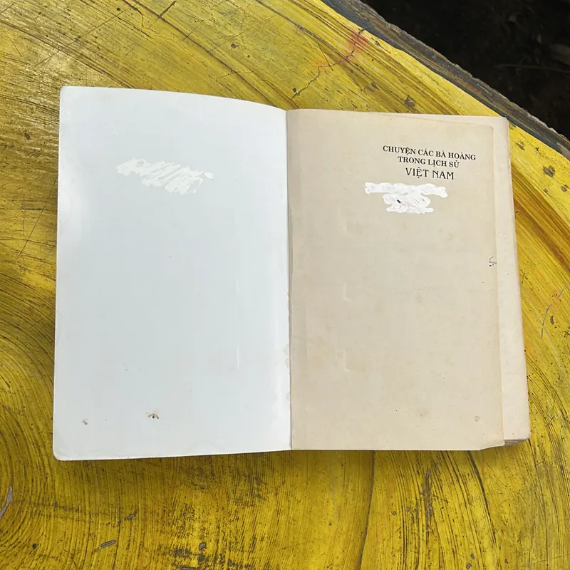 COMBO CHUYỆN CÁC BÀ HOÀNG TRONG LỊCH SỬ VIỆT NAM & CÁC TRIỀU ĐẠI VIỆT NAM 702066