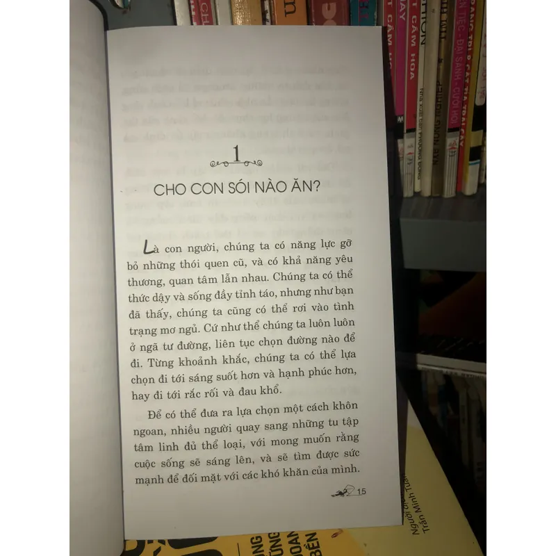 Cú nhảy - Thoát khỏi thói quen và nỗi sợ hãi - Pema Chodron  695623