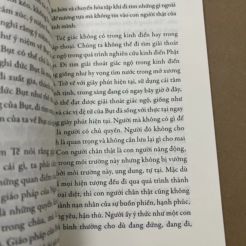 Hạnh Phúc Cầm Tay 1002529