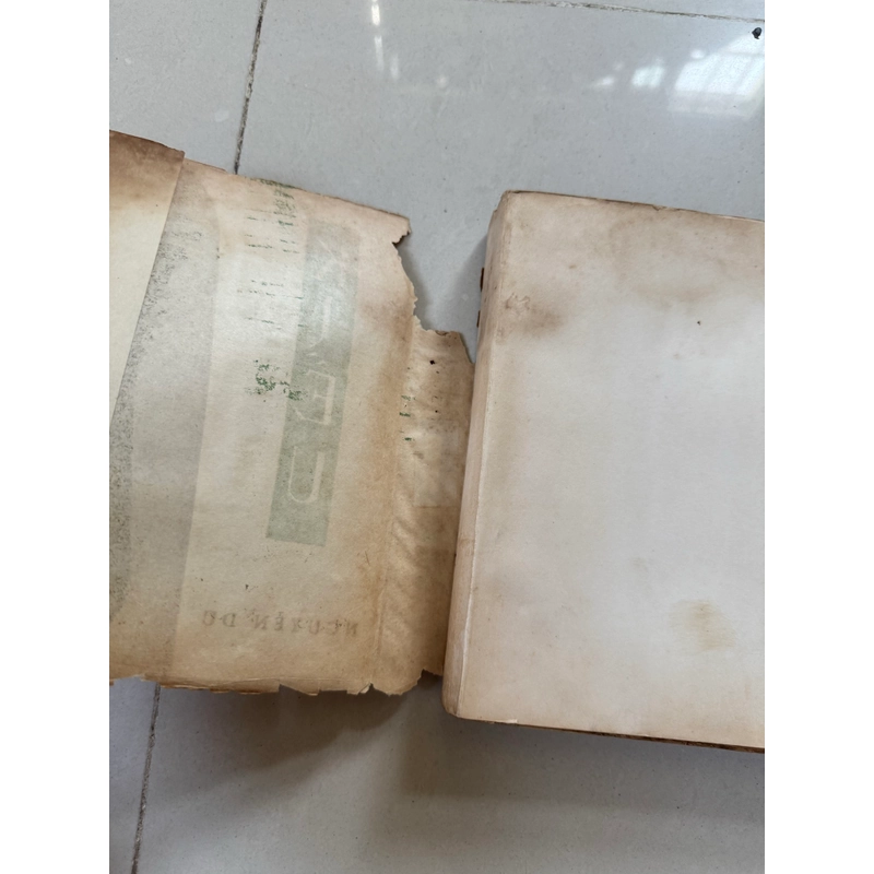 Kiều nguyễn du 539202