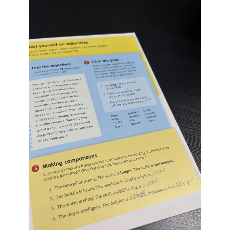 Usborne Junior Illustrated Grammar and Punctuation 974375