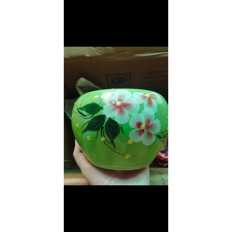 Chậu trồng sen đá 753599