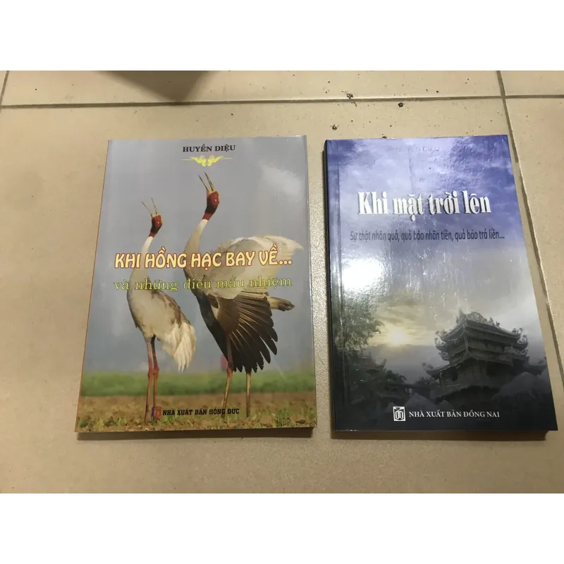 Khi Hồng Hạc Bay Về + Khi mặt trời lên  1028798