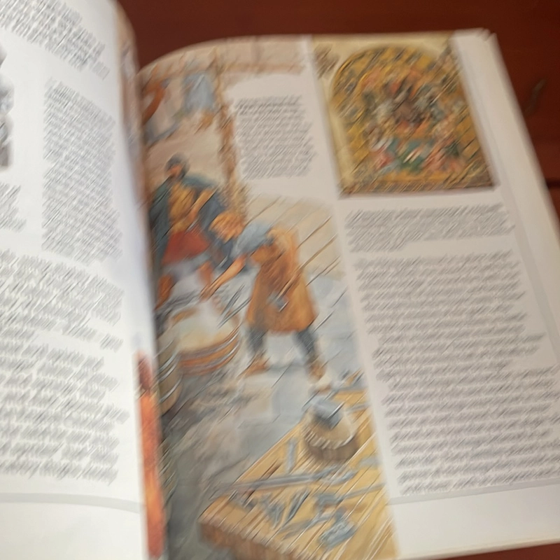 PICTURE BOOK The saxons & viking 536941