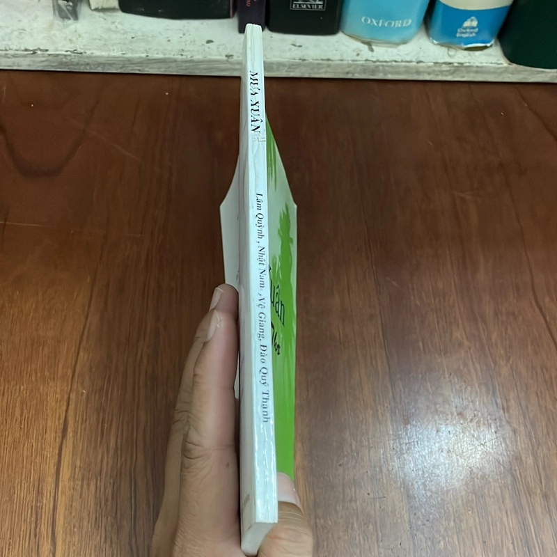 II Thơ: Mưa Xuân - Lâm Quỳnh, Nhật Nam, Vệ Giang, Đào Quý Thạnh - 1999 528162