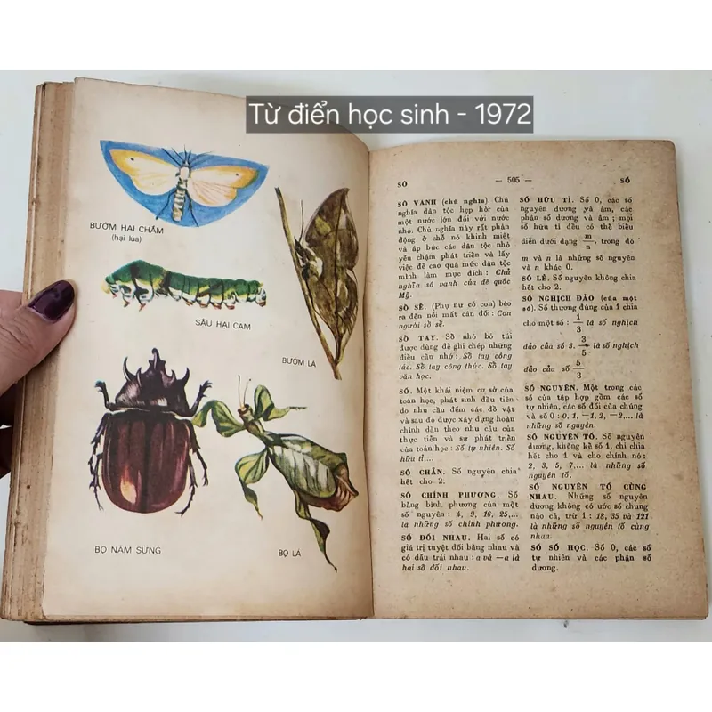 TỪ ĐIỂN HỌC SINH 1972 - tranh in màu 702742