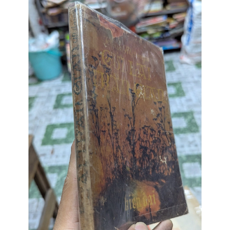 Gửi lại trần gian - Jetsun Milarepa 128473