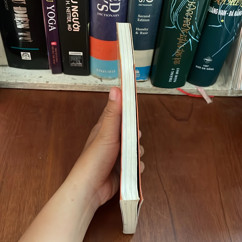 II Tiểu Thuyết: Nhà Giả Kim - Paulo Coelho - Lê Chu Cầu (Dịch) - 2018 538260