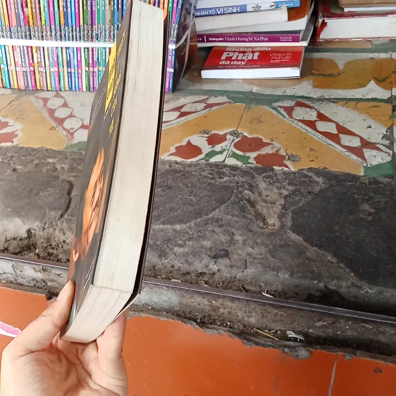 Mã Vân Triết Lý Sống Của Tôi - Trương Yến  1027224