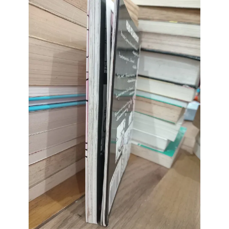 Camp babymouse - Jennifer L. Holm & Matthew Holm 704121