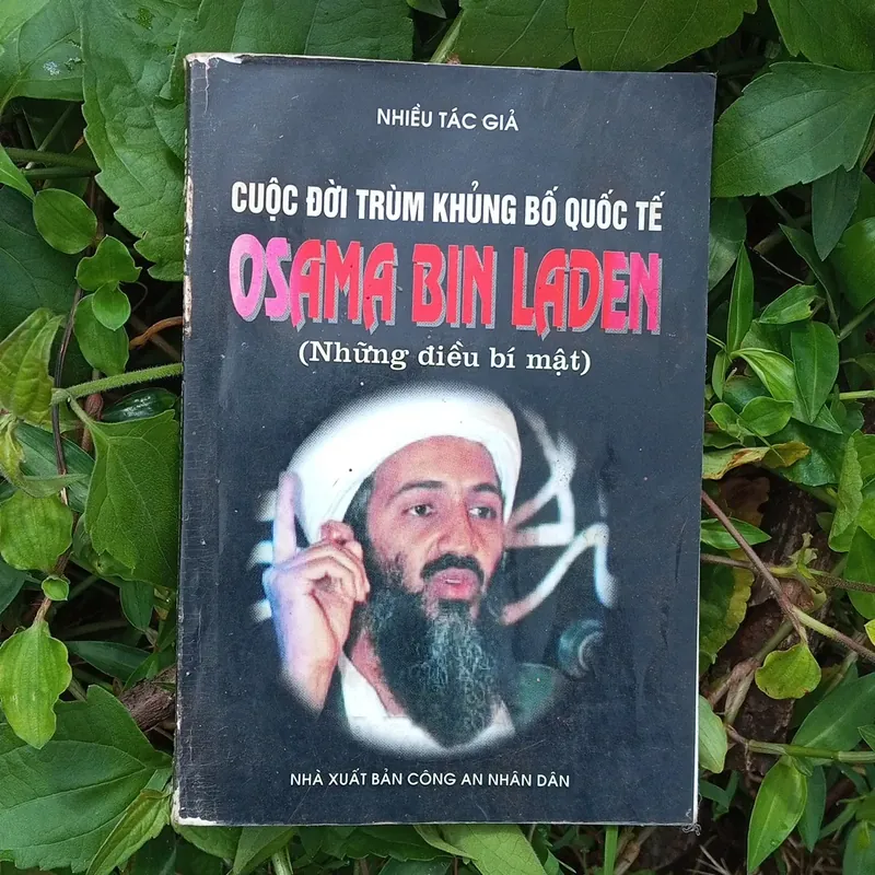 Osama binladen Những điều bí mật  687467