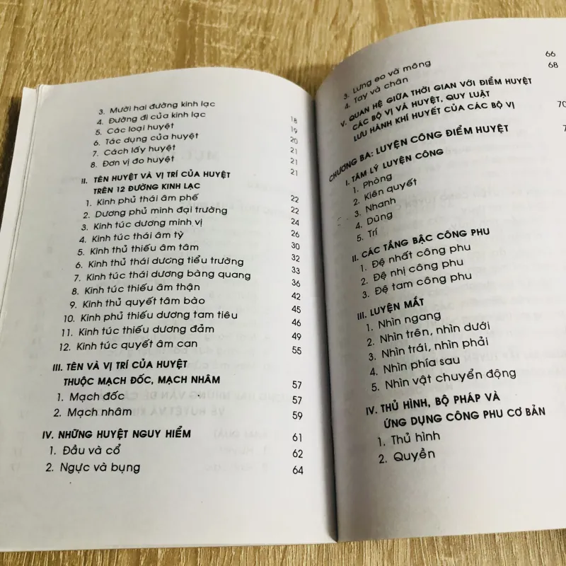 THIẾU LÂM TUYỆT CHIÊU ĐIỂM HUYỆT GIẢI HUYỆT  1011267