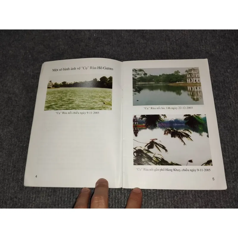 KỂ CHUYỆN VỀ RÙA Ở HỒ GƯƠM 993105