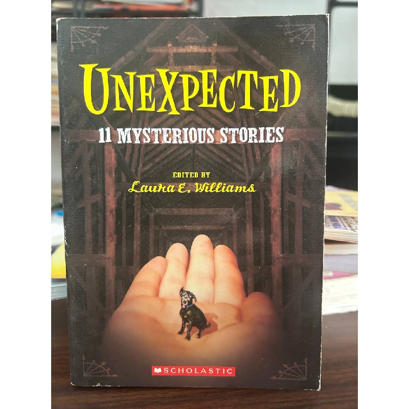 Unexpected: 11 Mysterious Stories - Laura E. Williams 933597