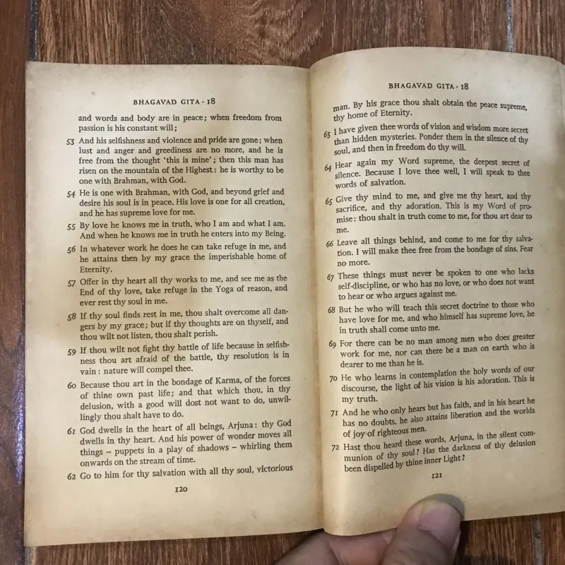 The Bhagavad Gita (8) 1012846