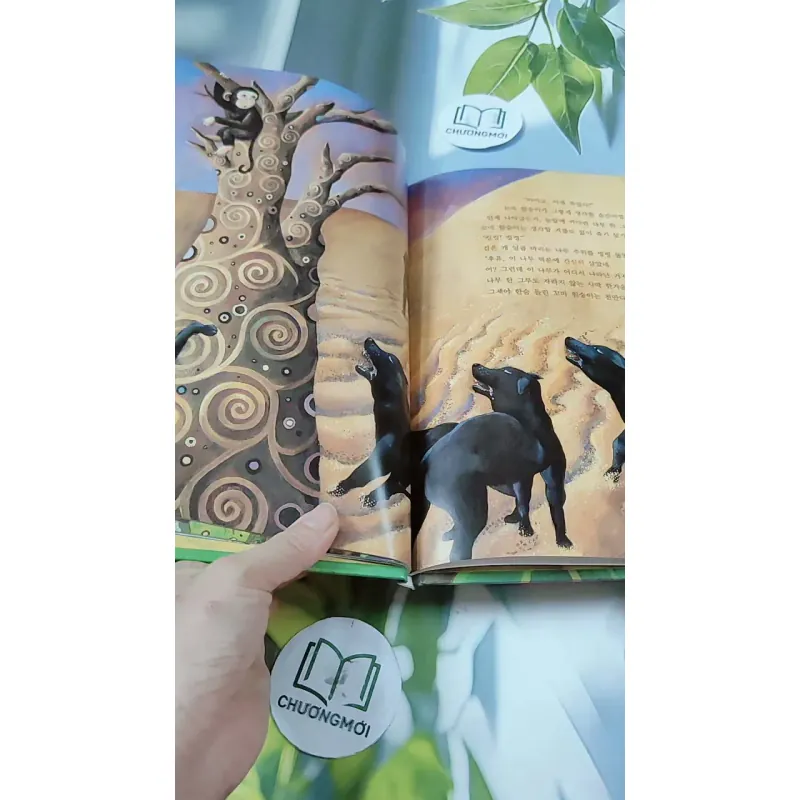 [Tặng nẹp góc] Truyện thiếu nhi Hàn Quốc: Moyamo Anu 24 -  모야모 아누와: 불행을 찾아간 원숭이;. 지혜의 열쇠 732017