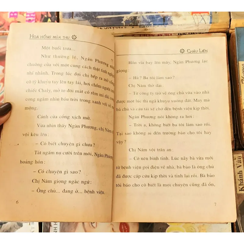 Tiểu thuyết lãng mạn Việt Nam HOA HỒNG MÙA THU (Châu Liên) 782374