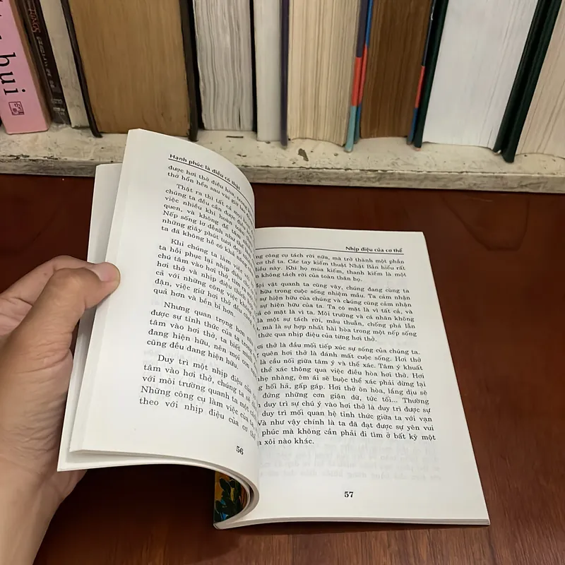 II Sách Phật Giáo: Hạnh Phúc Là Điều Có Thật - Nguyên Minh - 2011 573451