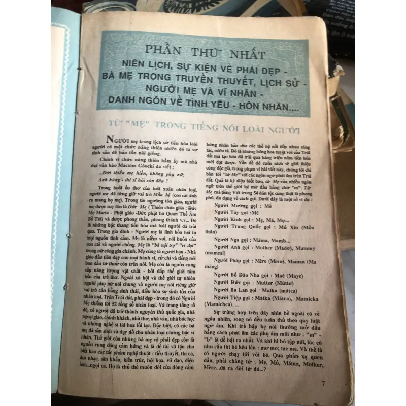 Người mẹ và phái đẹp 1006627