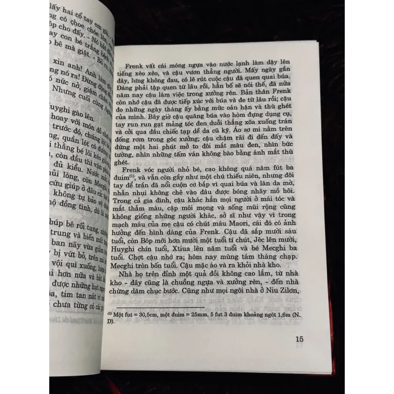 Tiếng chim hót trong bụi mận gai 756482