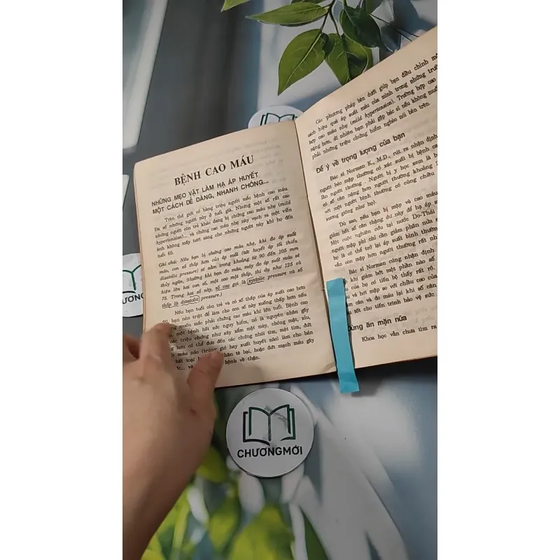 Cẩm Nang Mẹo Vặt Y Khoa Thực Dụng - Đặng Thị Ngọc Trâm 727271